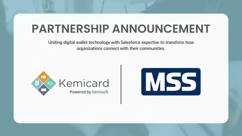 Partnership: Maximum Software Services