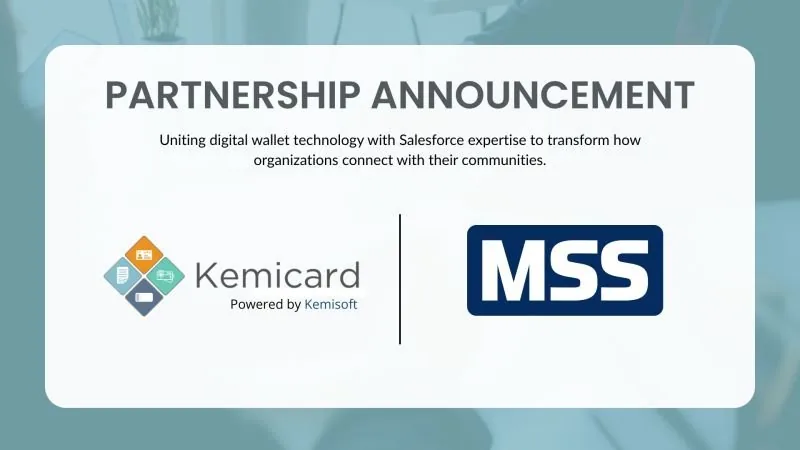 Partnership: Maximum Software Services