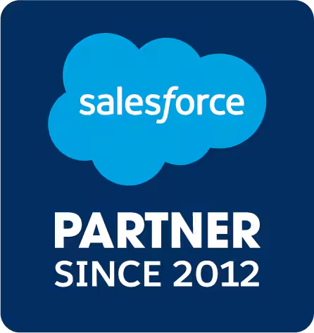 Salesforce Consulting Partner